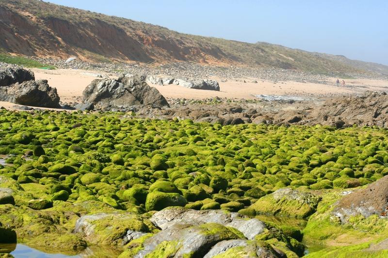 פורטו קובו Refugio Da Praia - Seaside & Nature מראה חיצוני תמונה