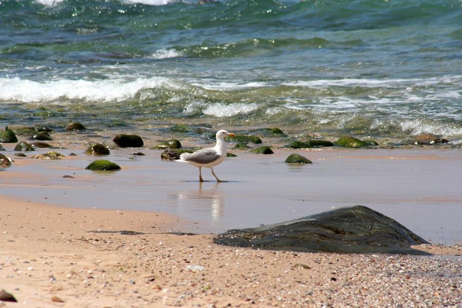 פורטו קובו Refugio Da Praia - Seaside & Nature מראה חיצוני תמונה